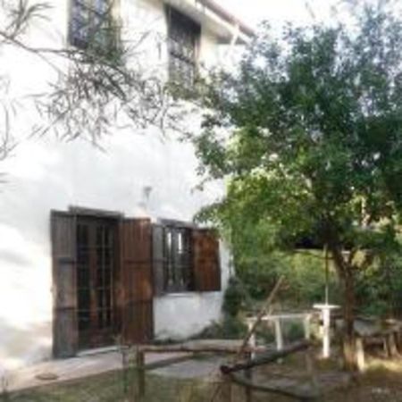 Bed and Breakfast La casa nel bosco Tortorella Esterno foto