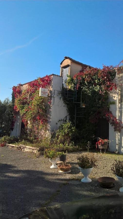 Bed and Breakfast La casa nel bosco Tortorella Esterno foto
