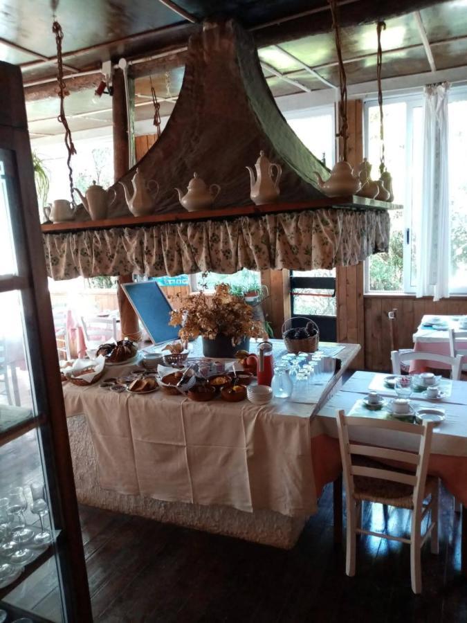 Bed and Breakfast La casa nel bosco Tortorella Esterno foto