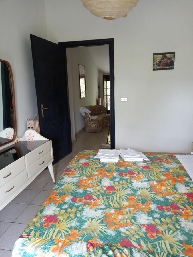 Bed and Breakfast La casa nel bosco Tortorella Esterno foto