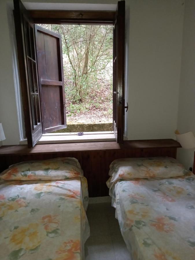 Bed and Breakfast La casa nel bosco Tortorella Esterno foto