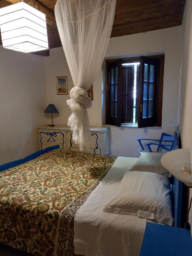 Bed and Breakfast La casa nel bosco Tortorella Esterno foto