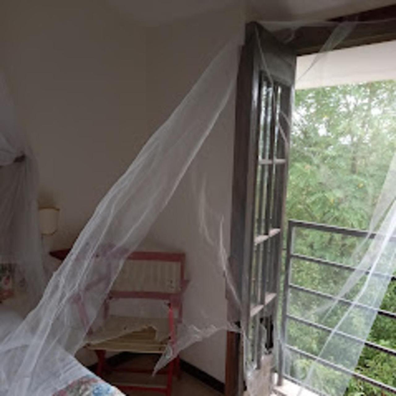 Bed and Breakfast La casa nel bosco Tortorella Esterno foto