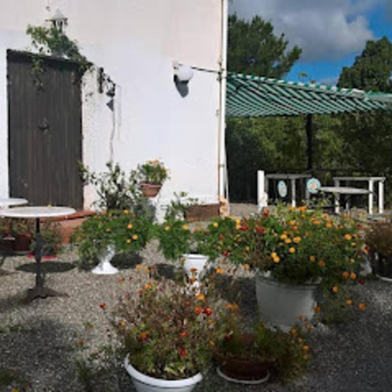 Bed and Breakfast La casa nel bosco Tortorella Esterno foto